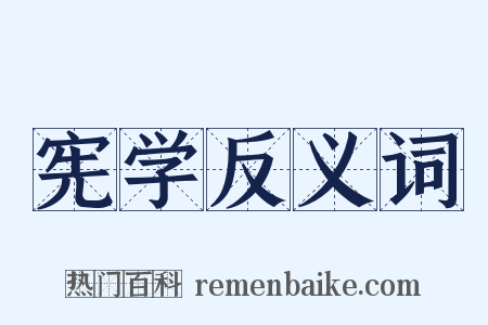 宪学反义词是什么意思的图片